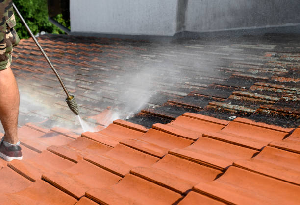 Best Pressure Washing Driveway  in Winterville, NC