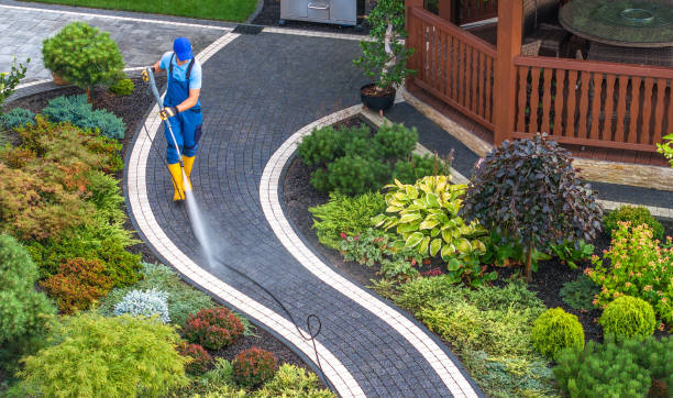Best Pressure Washing Services Near Me  in Winterville, NC